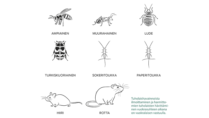 Tuhoeläimet vuokrahuoneistossa